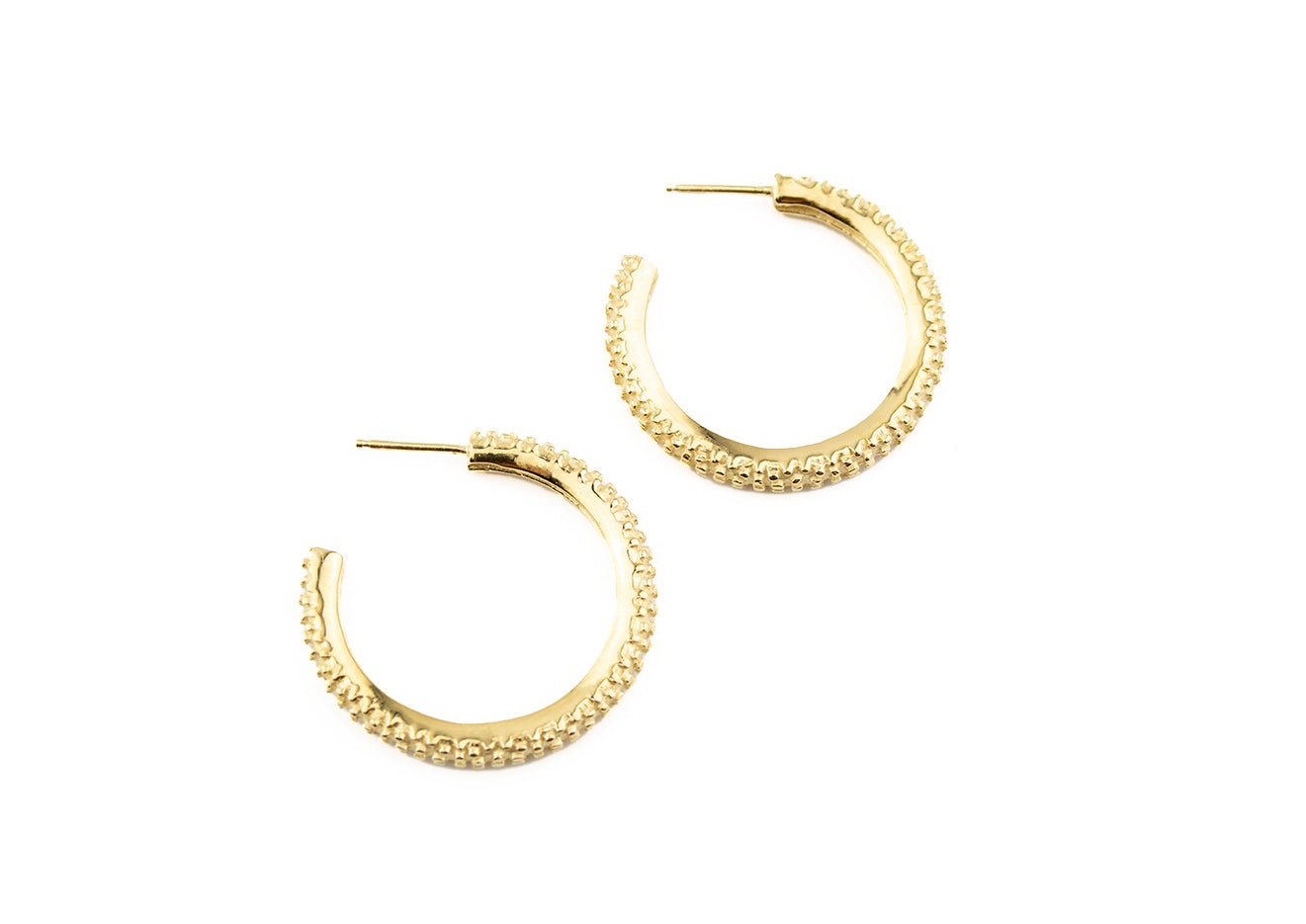 Gold Wheelie Hoops -earrings- Lindsey Snell