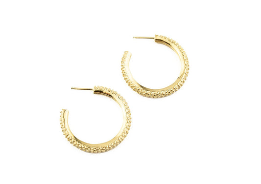 Gold Wheelie Hoops -earrings- Lindsey Snell